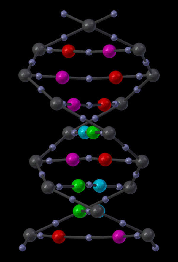 ../_images/Double_Helix_Example.gif